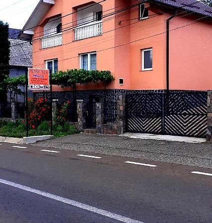Pensiunea Anca Rona de Jos Экстерьер фото