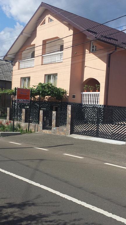 Pensiunea Anca Rona de Jos Экстерьер фото